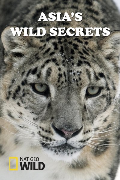 Póster de Asia's Wild Secrets