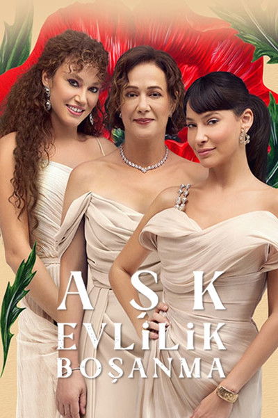 Póster de Ask Evlilik Bosanma