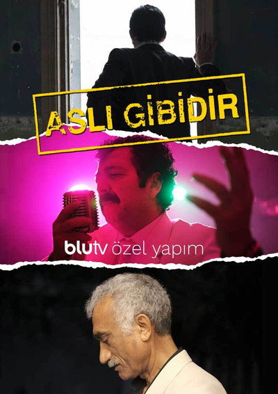 Póster de Asli Gibidir