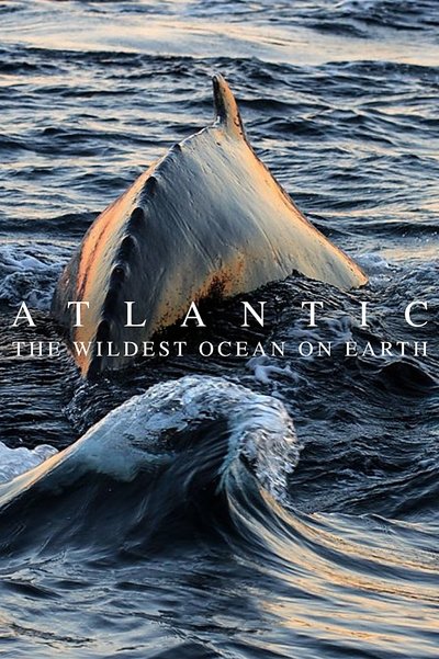 Póster de Atlantic: The Wildest Ocean on Earth