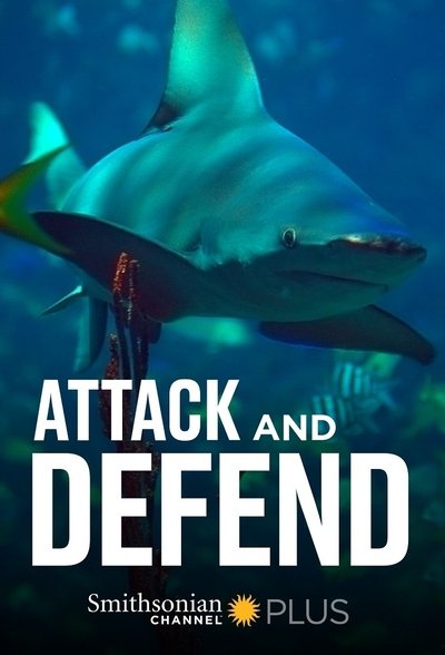 Póster de Attack and Defend
