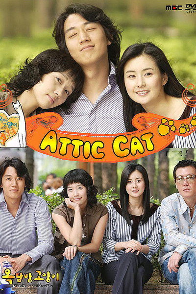 Póster de Attic Cat