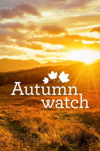 Póster de Autumnwatch