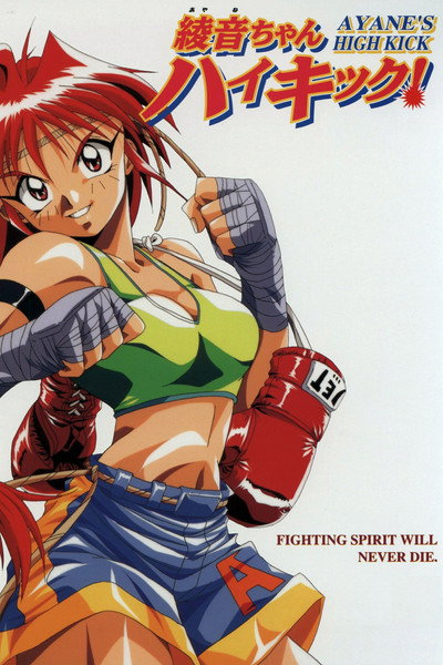Póster de Ayane's High Kick