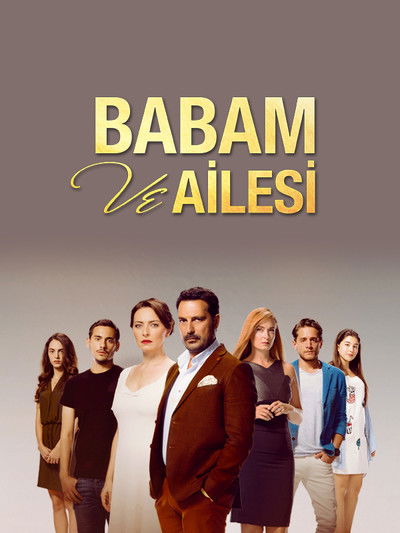 Póster de Babam ve Ailesi