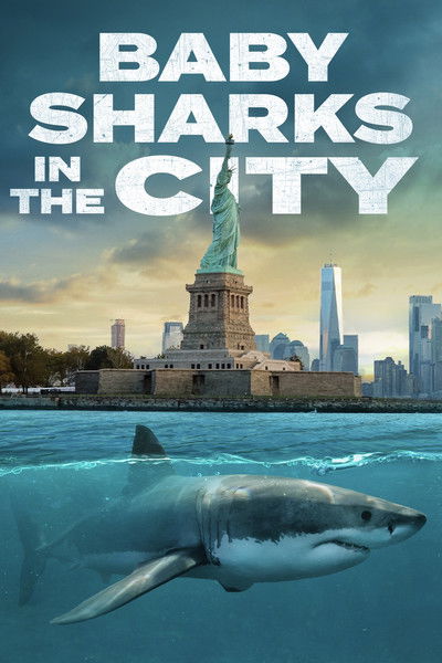 Póster de Baby Sharks in the City