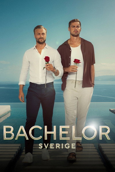 Póster de Bachelor