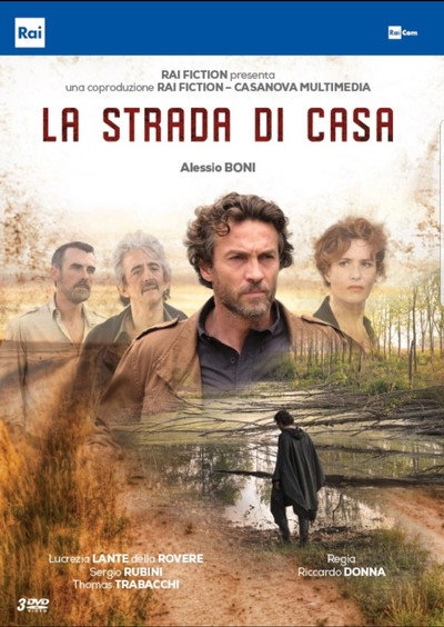 Póster de Back Home
