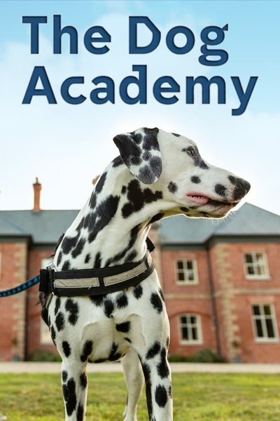 Póster de Bad Dog Academy