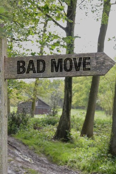 Póster de Bad Move