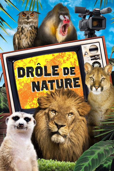 Póster de Bad Nature