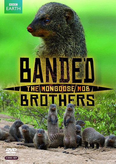 Póster de Banded Brothers