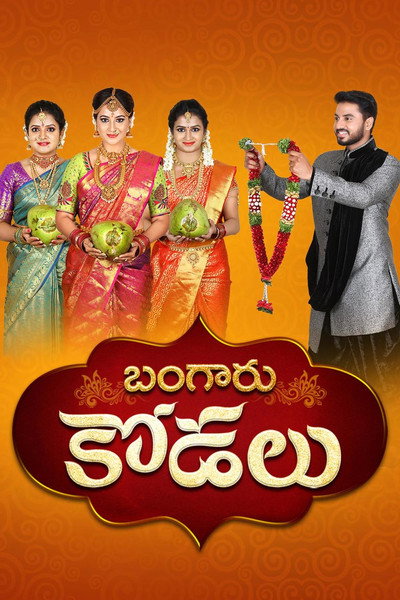 Póster de Bangaru Kodalu