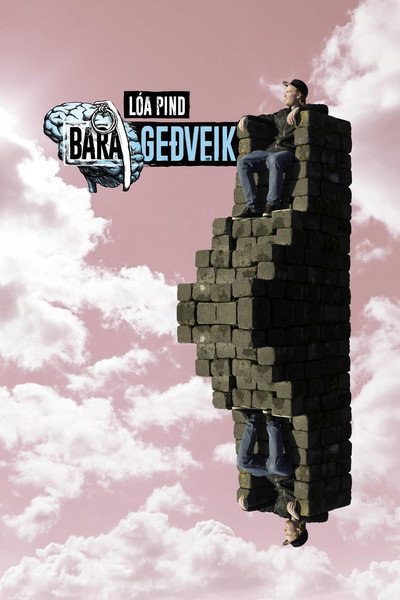 Póster de Bara geðveik