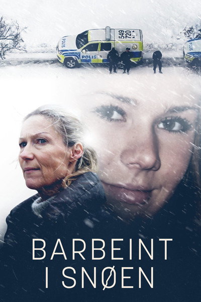 Póster de Barbeint i snøen