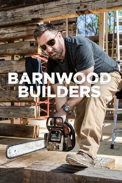 Póster de Barnwood Builders