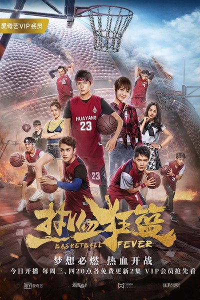 Póster de Basketball Fever