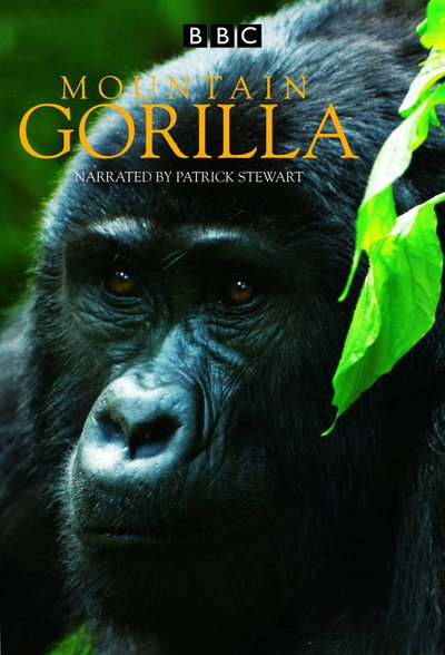 Póster de BBC Mountain Gorilla