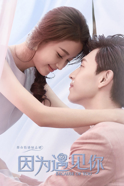 Póster de Because of Meeting You