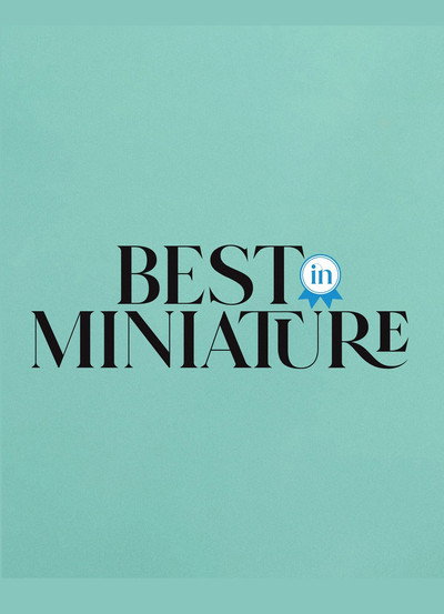 Póster de Best in Miniature