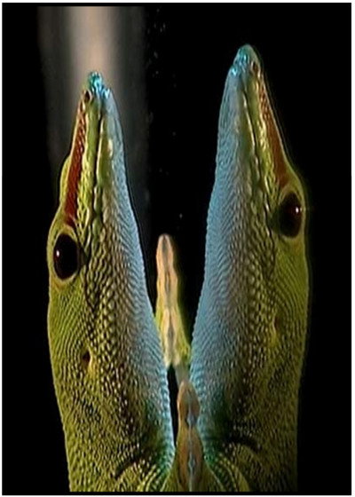 Póster de Beyond Invention