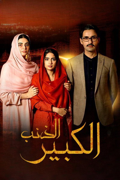 Póster de Bhool