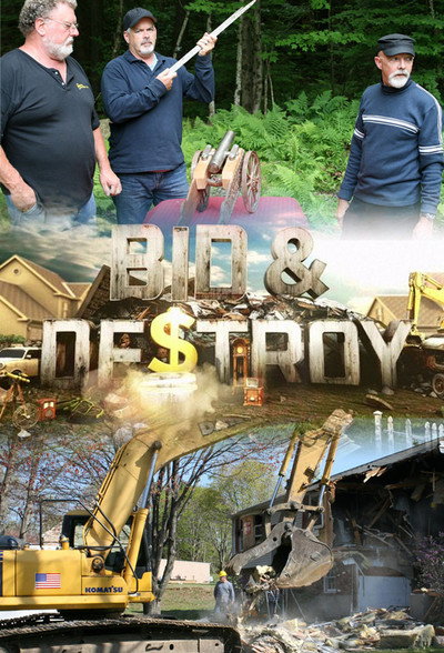 Póster de Bid & Destroy