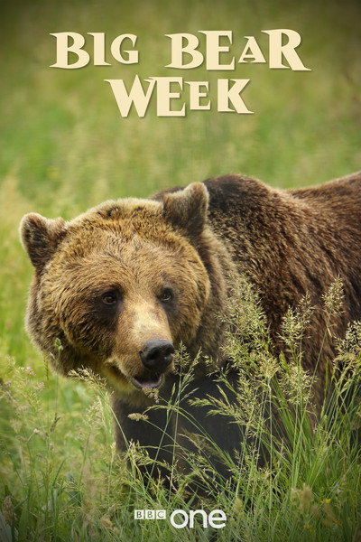 Póster de Big Bear Week