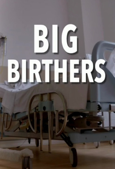 Póster de Big Birthers