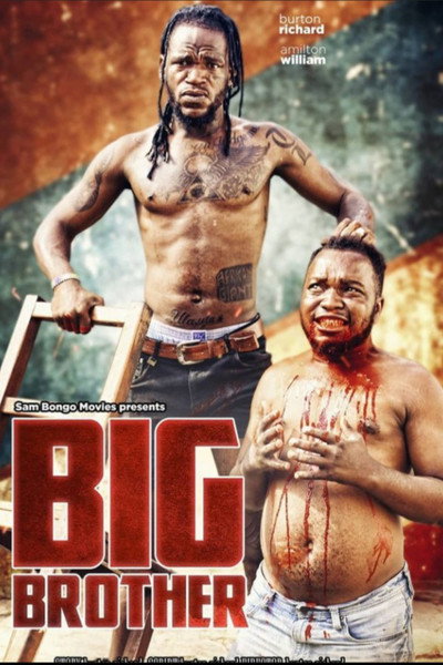 Póster de Big Brother