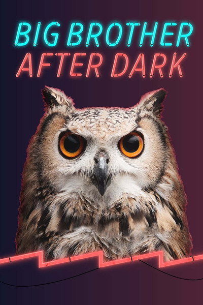 Póster de Big Brother: After Dark