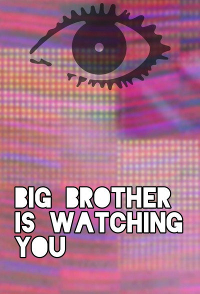 Póster de Big Brother Rebooted