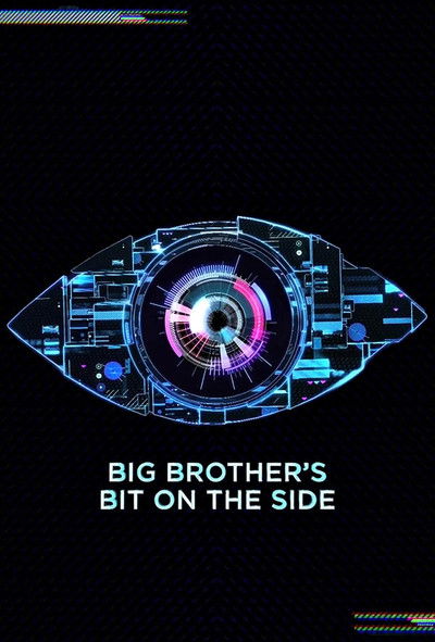 Póster de Big Brother's Bit on the Side