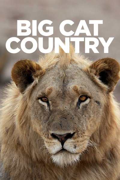 Póster de Big Cat Country