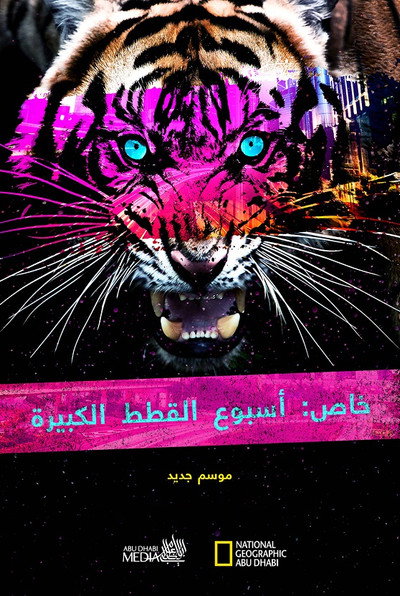 Póster de Big Cat Week Collection