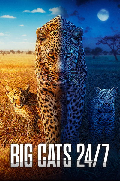 Póster de Big Cats 24/7