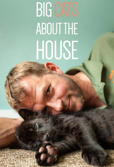 Póster de Big Cats About the House