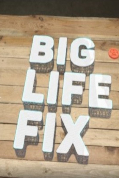 Póster de Big Life Fix