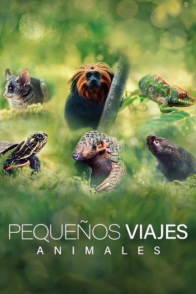 Póster de Big Little Journeys