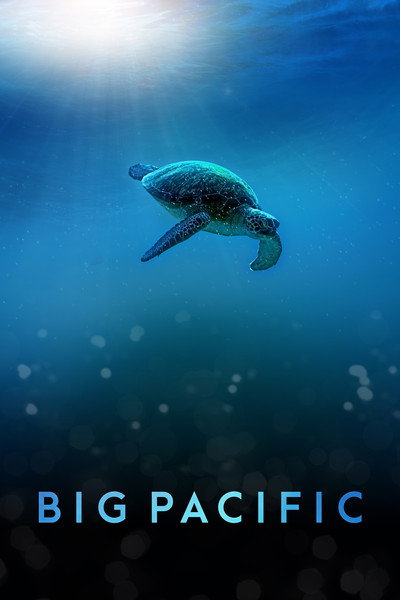 Póster de Big Pacific