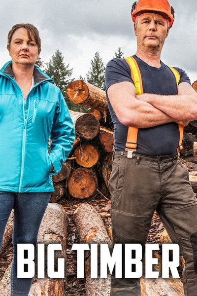 Póster de Big Timber