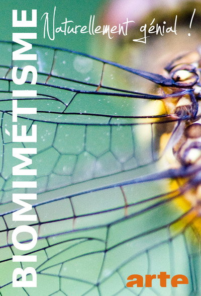 Póster de Biomimikry - Natürlich genial!