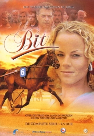 Póster de Bit