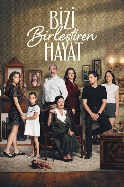 Póster de Bizi Birlestiren Hayat