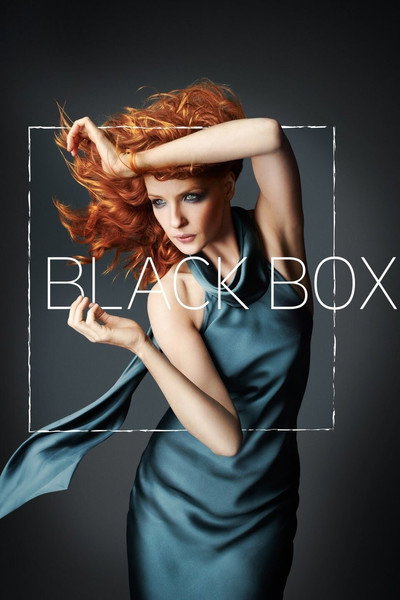 Póster de Black Box