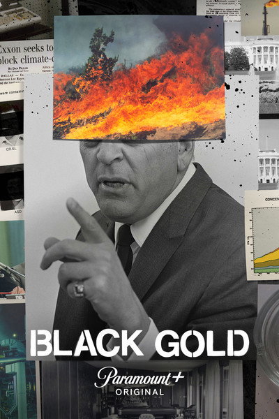 Póster de Black Gold