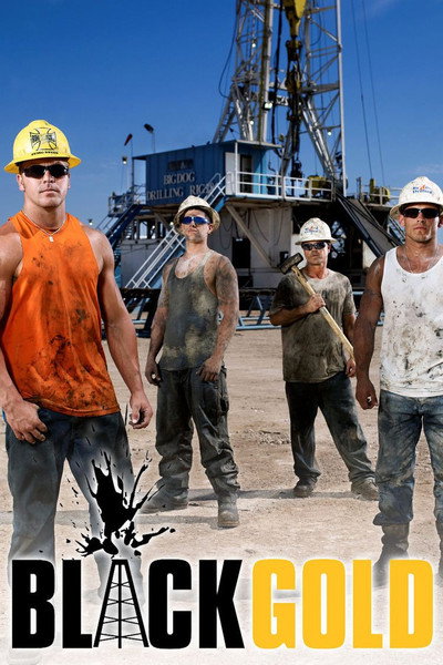 Póster de Black Gold