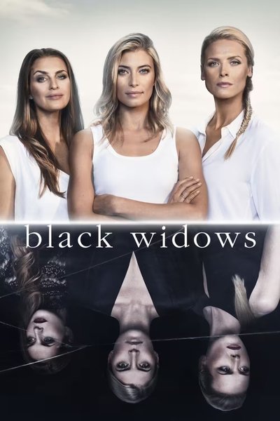 Póster de Black Widows