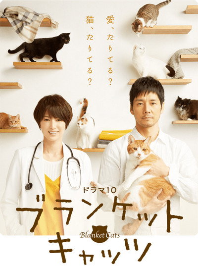 Póster de Blanket Cats