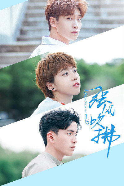 Póster de Blowing in the Wind